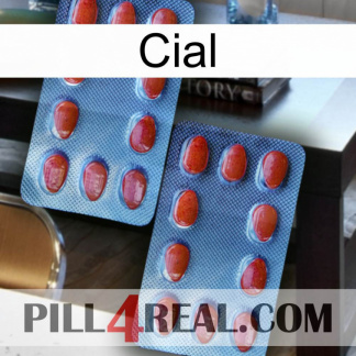 Cial 05